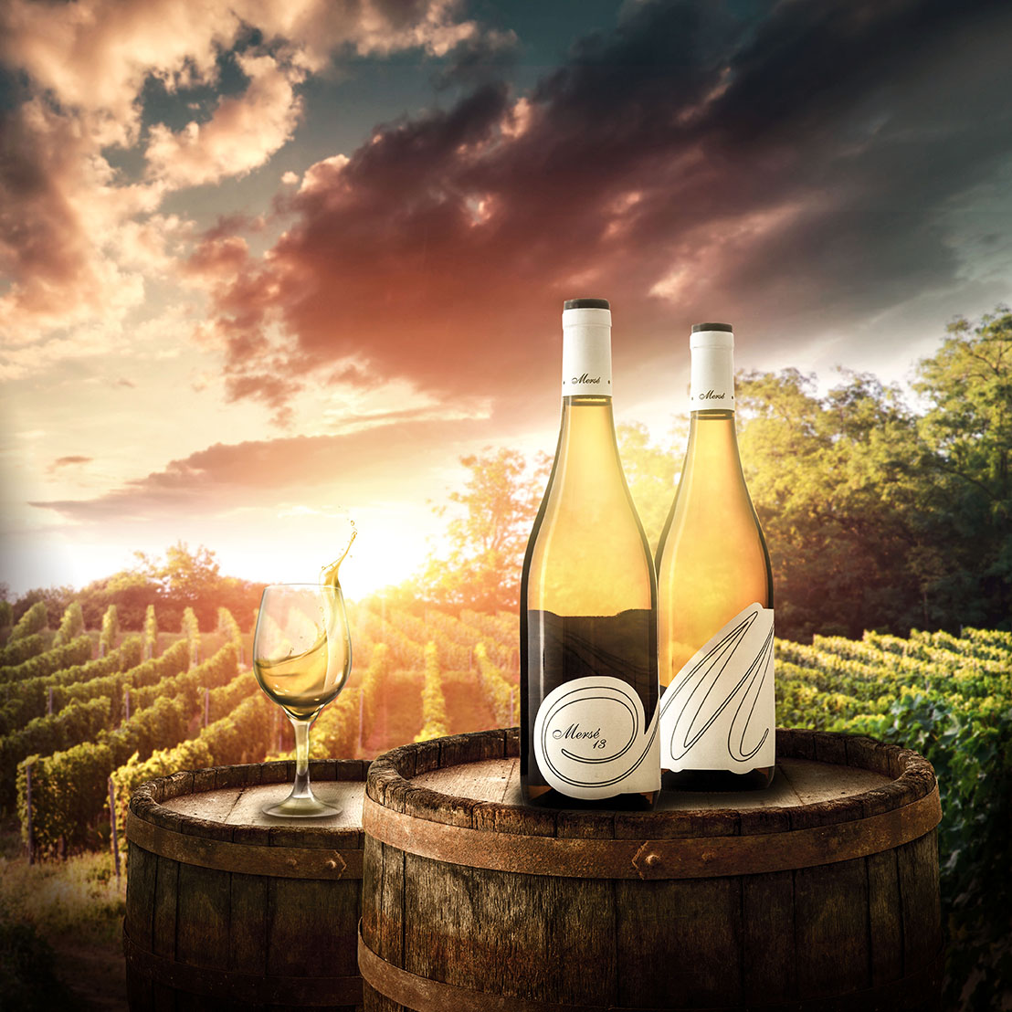 vineyard with ripe grapes in countryside at sunset; Shutterstock ID 1169333329; other: -; purchase_order: -; client: -; job: -